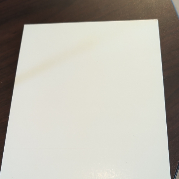 Cat Photo With Computer Mouse - Picture 2 of 3